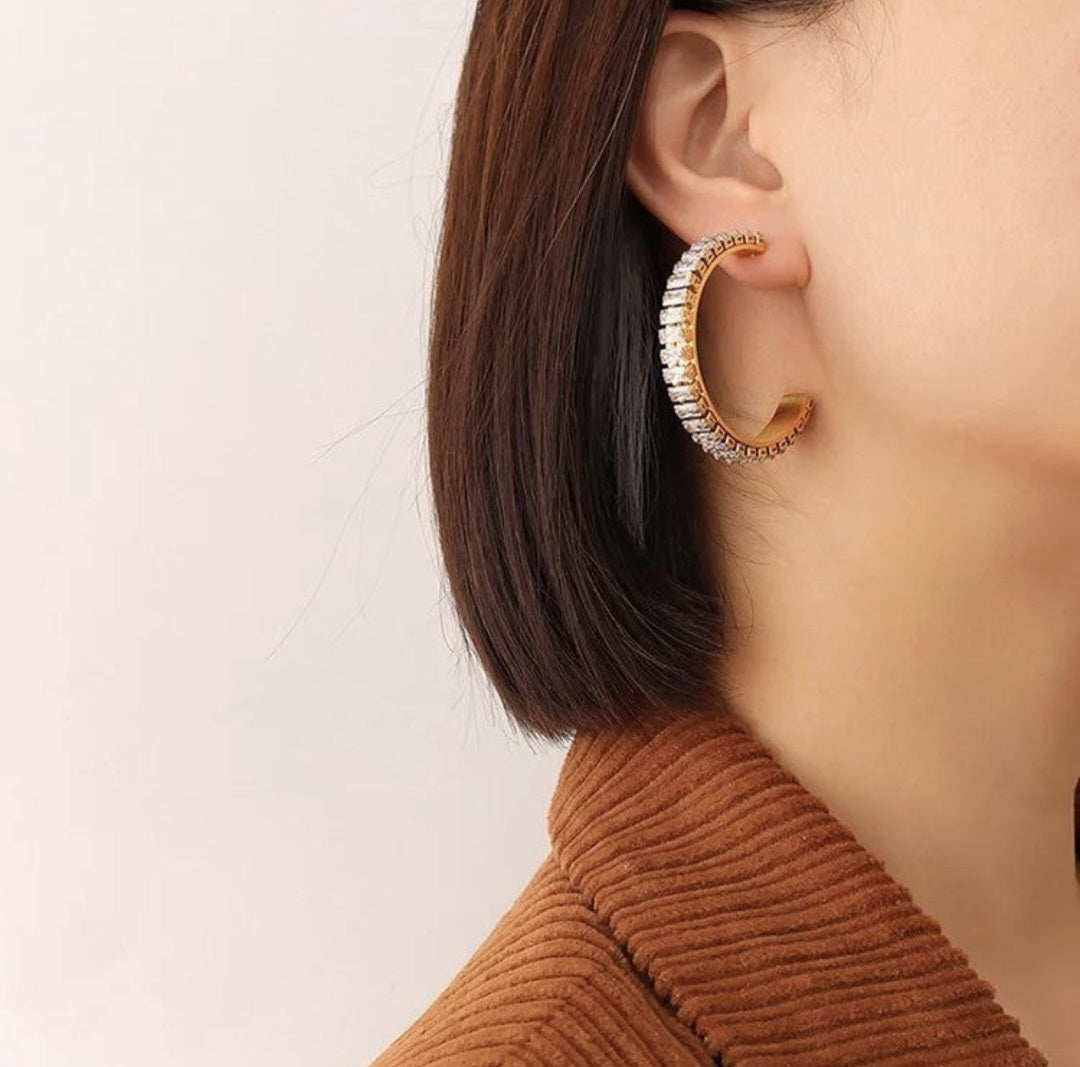 Stainless Steel E11 Earings
